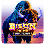 Bison Prime Power Combo