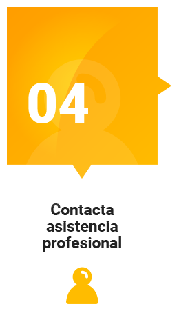 Asistencia profesional