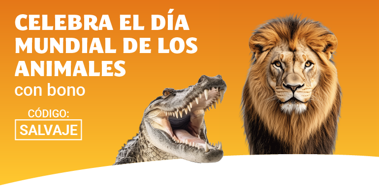 Consigue hasta 15€ en bono casino con YoBingo