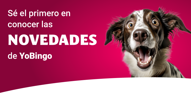 Preferencias de Comunicación en YoBingo