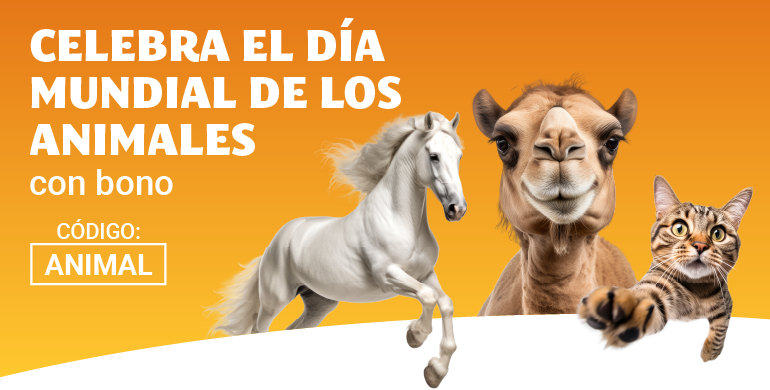 Consigue 15€ en Bono Bingo con YoBingo