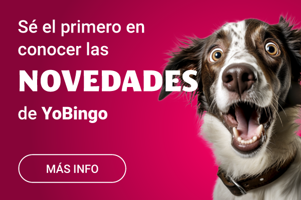 https://www.yobingo.es/preferencias-en-nuestras-comunicaciones