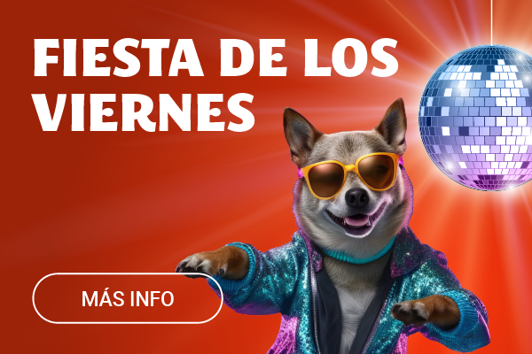 https://www.yobingo.es/fiestas-viernes-yobingo